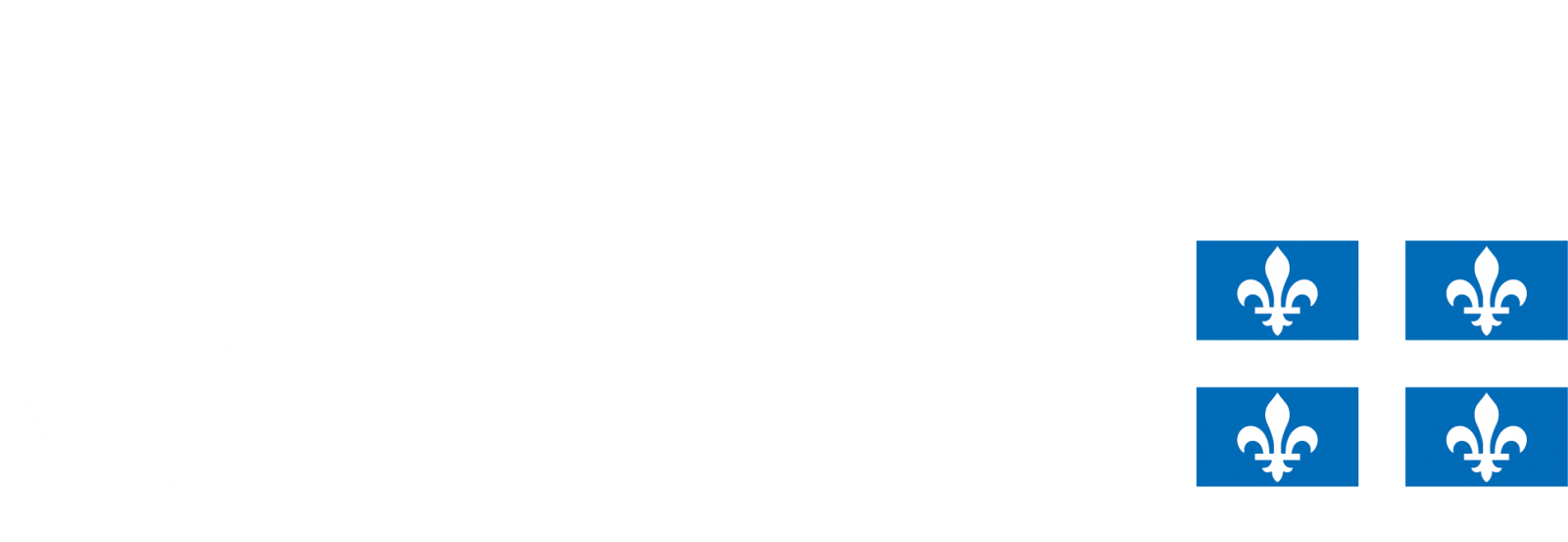 Site Internet sur une page